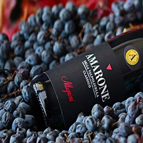 35 nha san xuat ruou vang Amarone tot nhat