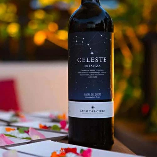 CÁC VÙNG TRỒNG NHO QUAN TRỌNG CỦA TÂY BAN NHA