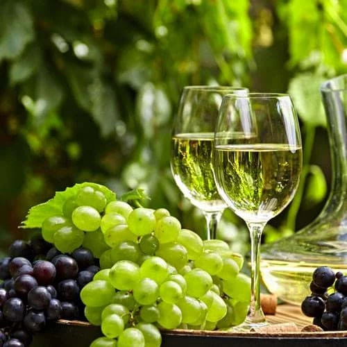 Su khac nhau giua ruou vang Organic Biodynamic va Natural