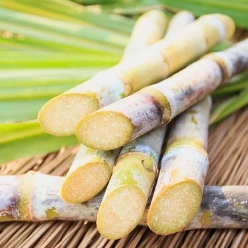 Thuong hieu ruou Rum ban chay nhat nam 2021