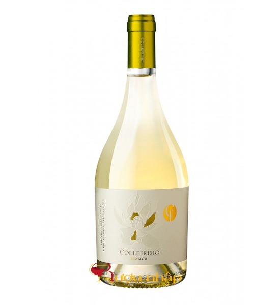 Collefrisio - Magnolia Bianco 2020 Rượu Vang Magnolia Bianco IGT Terre di Chieti 2020 – Collefrisio
