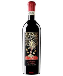 Rượu Vang Amarone Mater