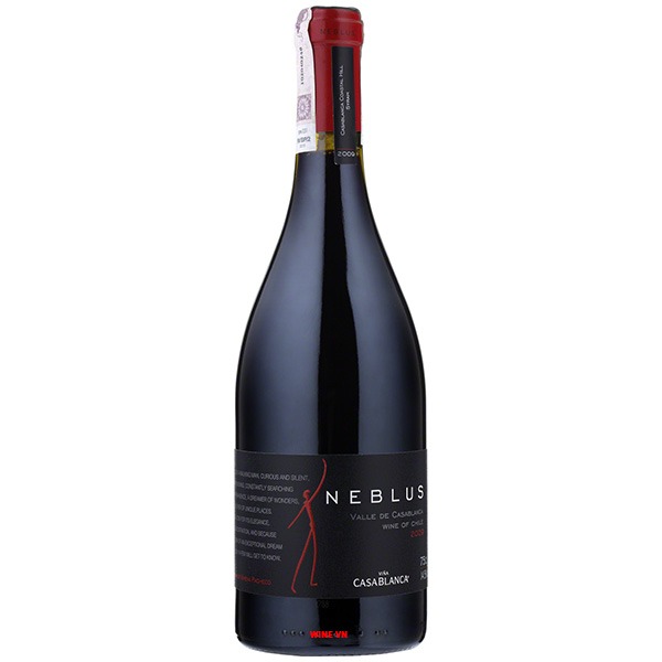 Rượu Vang Casablanca Neblus Syrah Rượu Vang Casablanca Neblus Syrah