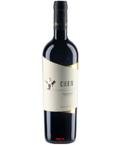 Rượu Vang Cien Carignan Luis Felipe Edwards