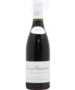 Rượu Vang Pháp Maison Leroy Gevrey Chambertin