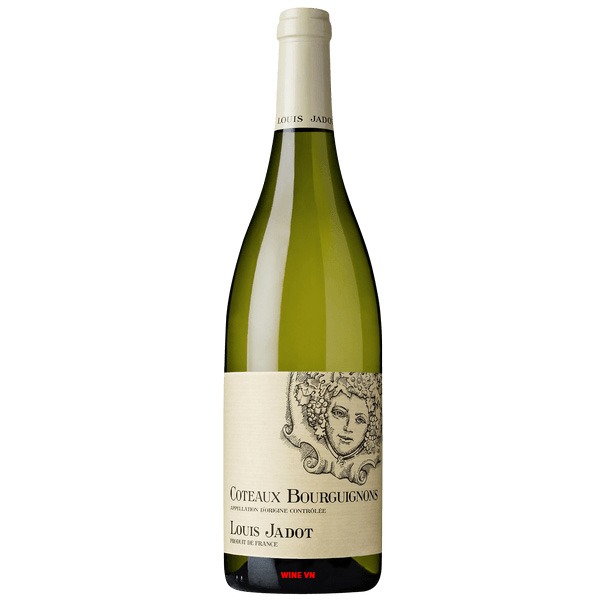 Rượu Vang Trắng Louis Jadot Coteaux Bourguignon Rượu Vang Trắng Louis Jadot Coteaux Bourguignon
