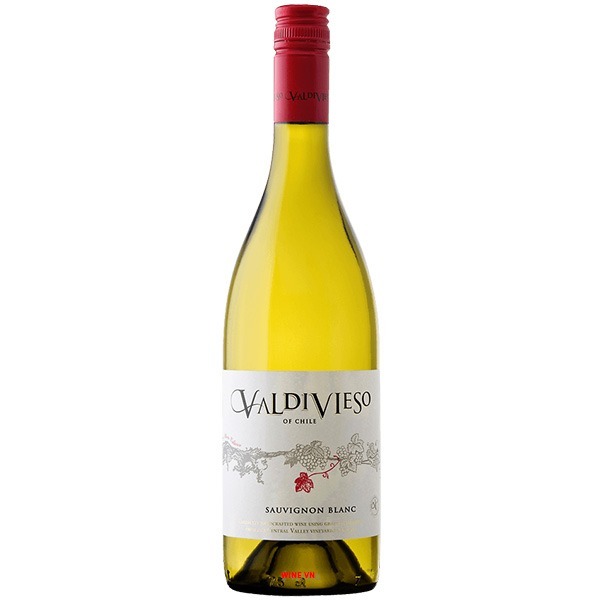 Rượu Vang Trắng Valdivieso Sauvignon Blanc Rượu Vang Trắng Valdivieso Sauvignon Blanc