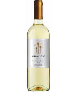 Rượu Vang Arauco Sauvignon Blanc