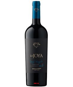Rượu Vang Bisquertt La Joya Single Vineyard Carmenere