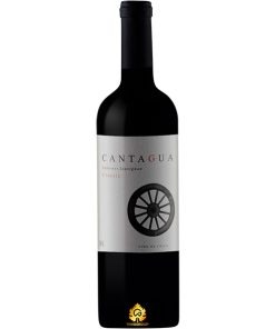 Rượu Vang Cantagua Cabernet Sauvignon