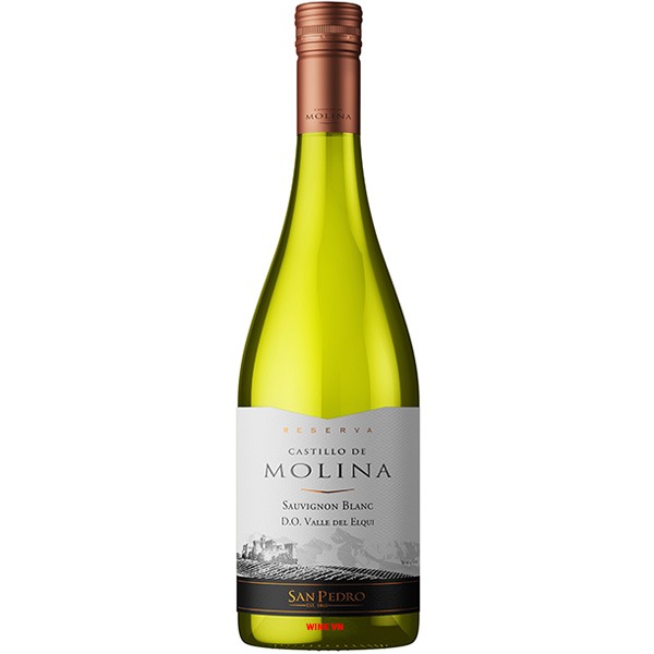 Rượu Vang Castillo De Molina Reserva Sauvignon Blanc Rượu Vang Castillo De Molina Reserva Sauvignon Blanc