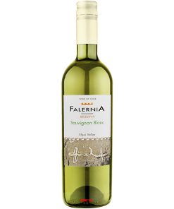Rượu Vang Falernia Reserva Sauvignon Blanc