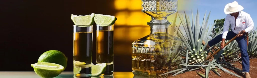 Rượu Tequila