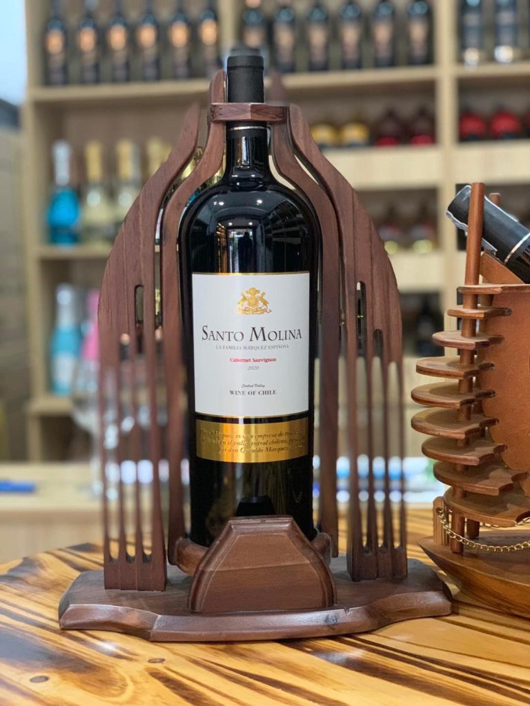 Vang Chile Santo Molina Cabernet