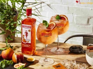 Công Thức Pha Chế Cocktail Rượu Gin