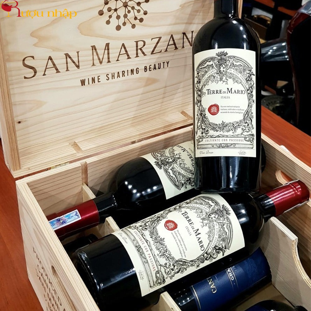 Vang Ý Terre di Mario 17 độ